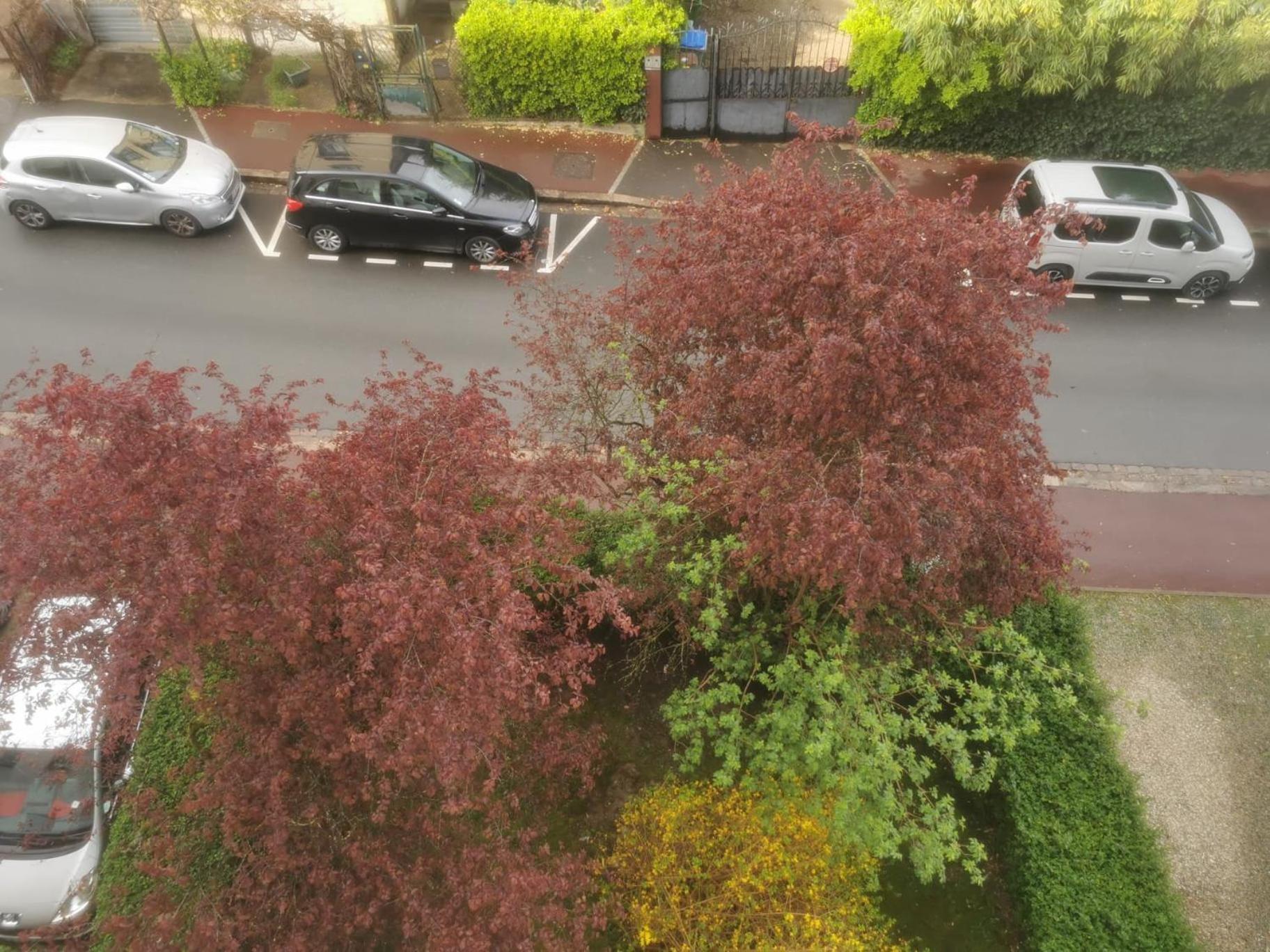 Appartement 3 Pieces A Seulement 5Km De Paris - For 2 To 7 Guests ! 丰特奈-玫瑰 外观 照片